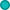 하천